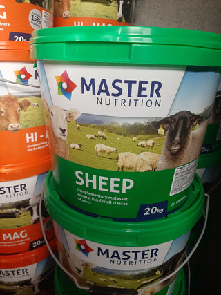 Master Sheep Mineral block 20kg