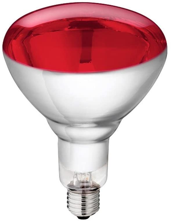 Philips Infrared Bulb 250W RED