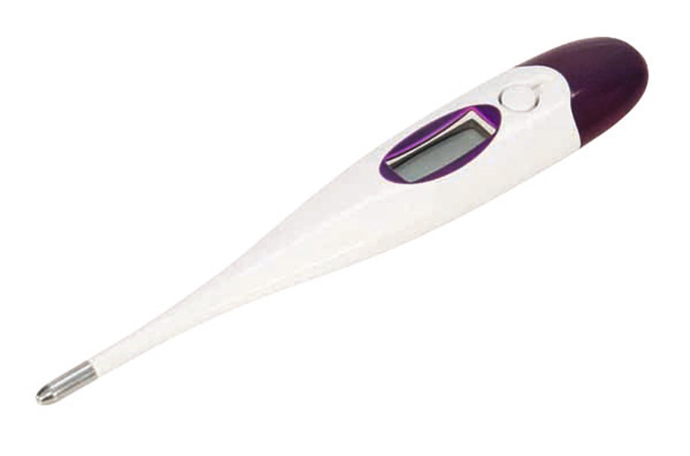 Electronic Thermometer Std 32/42c