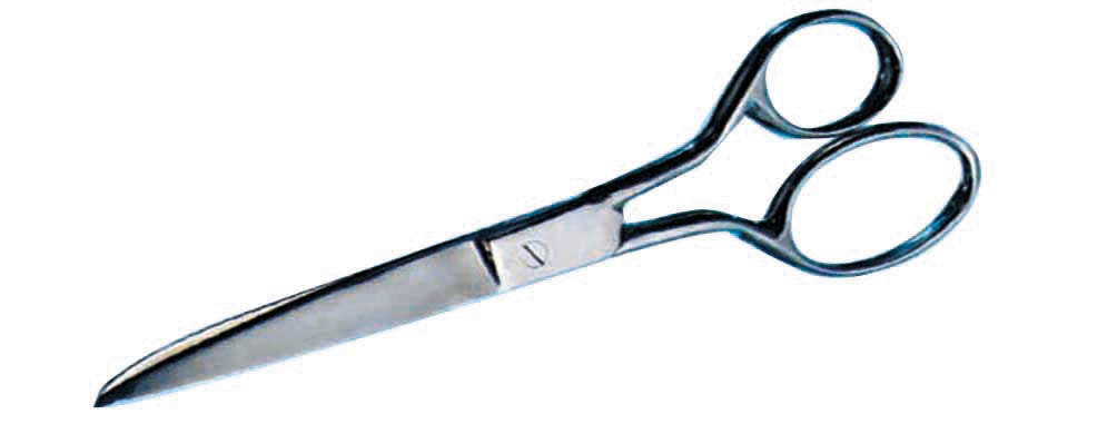Straight Scissors 8.25"