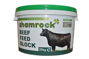 Shamrock Beef Feed Block