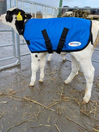 Calf-Comfort Calf Jacket (Small)
