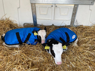 Calf-Comfort Calf Jacket (Small)